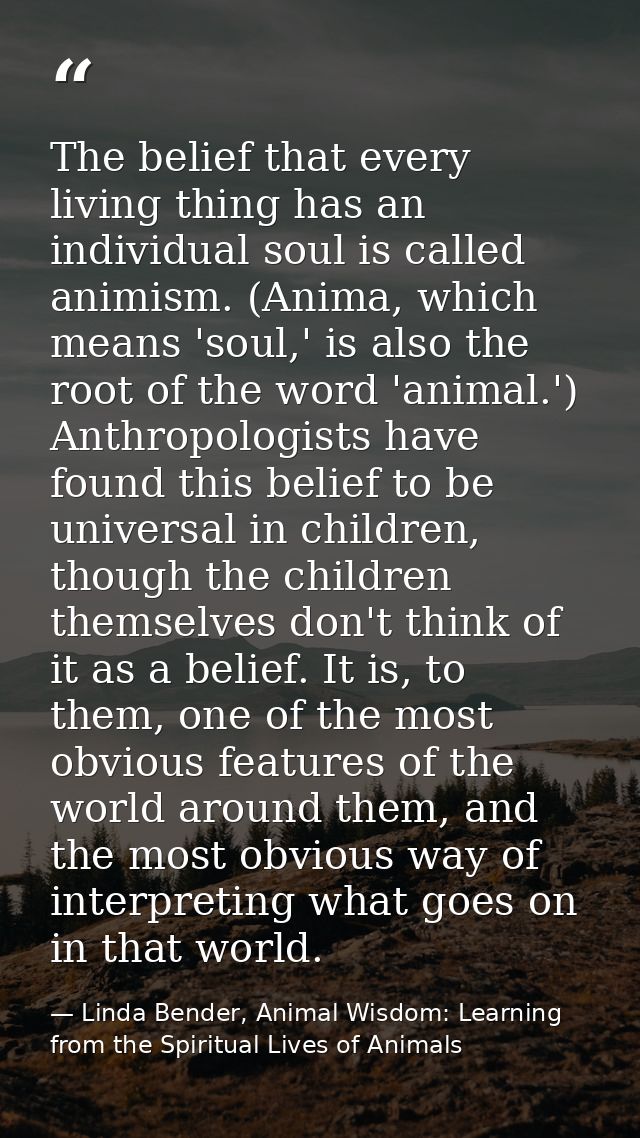 The belief that every living thing has an individual soul is called animism. (Anima, which means 'soul,' is also the roo — Linda Bender, Animal Wisdom: Learning from the Spiritual Lives of Animals