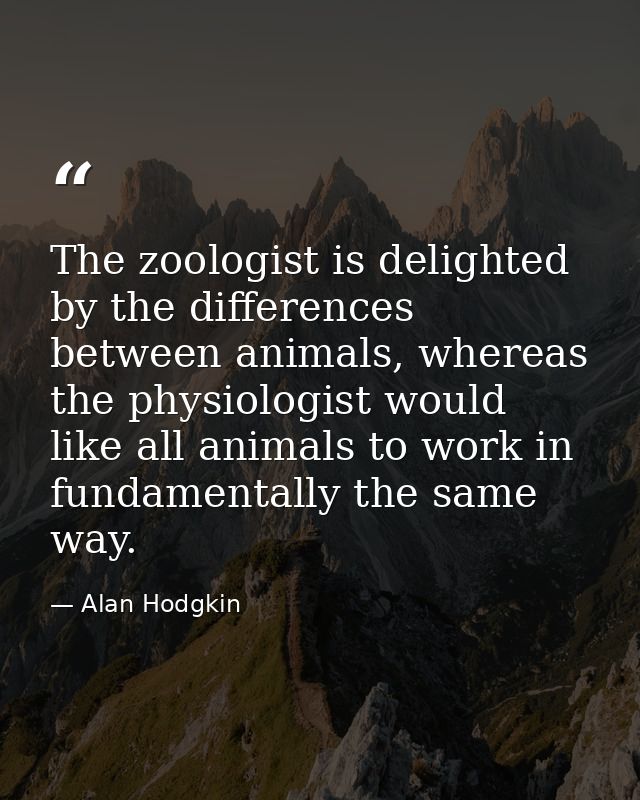The zoologist is delighted by the differences between animals, whereas the physiologist would like all animals to work i — Alan Hodgkin