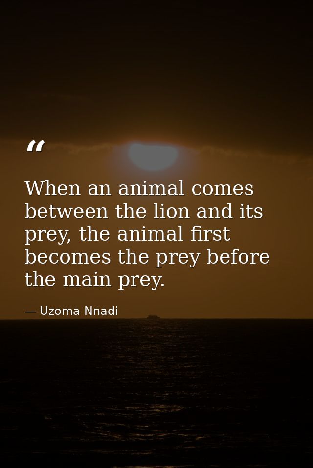 When an animal comes between the lion and its prey, the animal first becomes the prey before the main prey. — Uzoma Nnadi