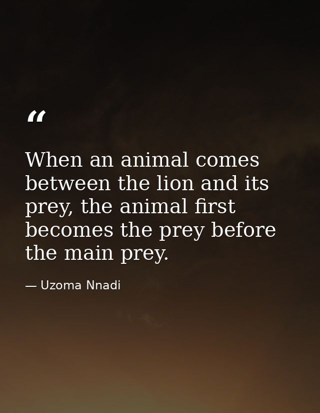When an animal comes between the lion and its prey, the animal first becomes the prey before the main prey. — Uzoma Nnadi