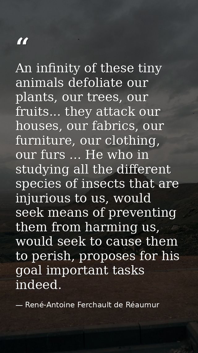 An infinity of these tiny animals defoliate our plants, our trees, our fruits... they attack our houses, our fabrics, ou — René-Antoine Ferchault de Réaumur