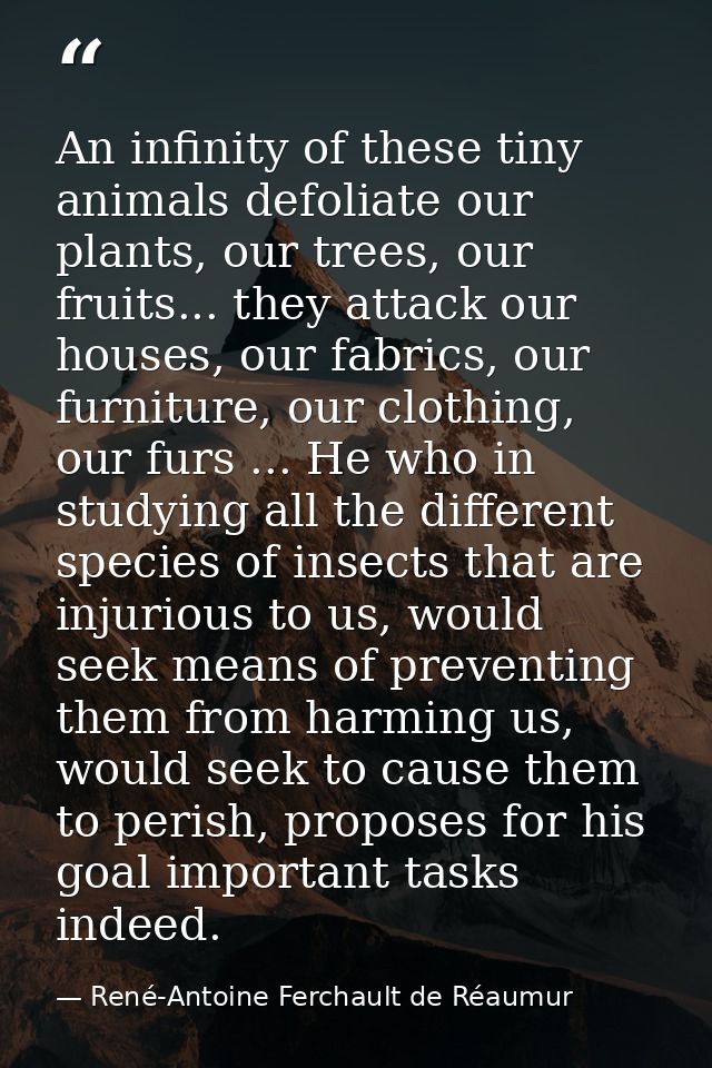 An infinity of these tiny animals defoliate our plants, our trees, our fruits... they attack our houses, our fabrics, ou — René-Antoine Ferchault de Réaumur