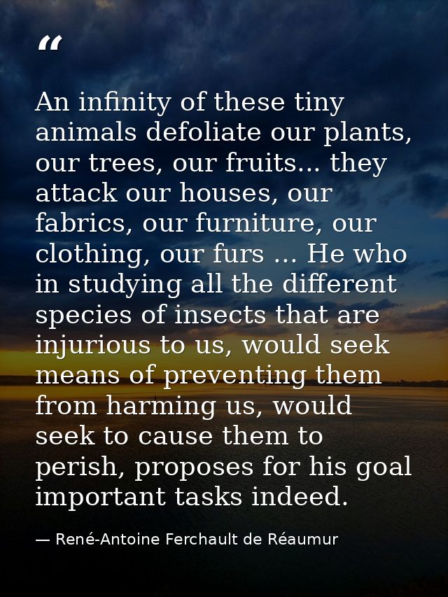 An infinity of these tiny animals defoliate our plants, our trees, our fruits... they attack our houses, our fabrics, ou — René-Antoine Ferchault de Réaumur