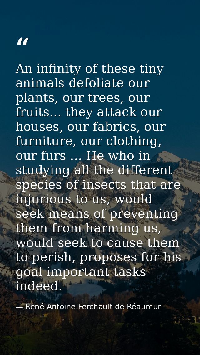 An infinity of these tiny animals defoliate our plants, our trees, our fruits... they attack our houses, our fabrics, ou — René-Antoine Ferchault de Réaumur