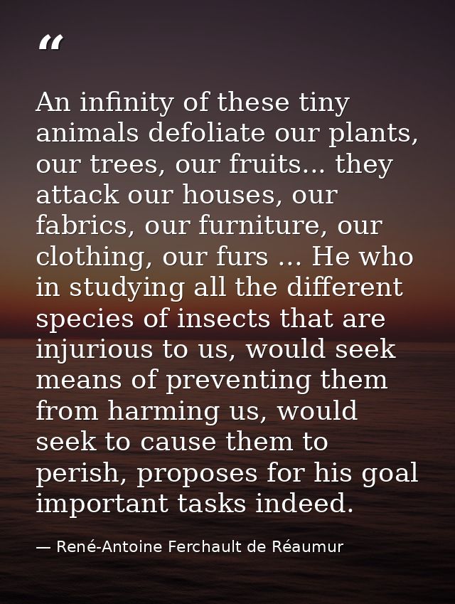 An infinity of these tiny animals defoliate our plants, our trees, our fruits... they attack our houses, our fabrics, ou — René-Antoine Ferchault de Réaumur