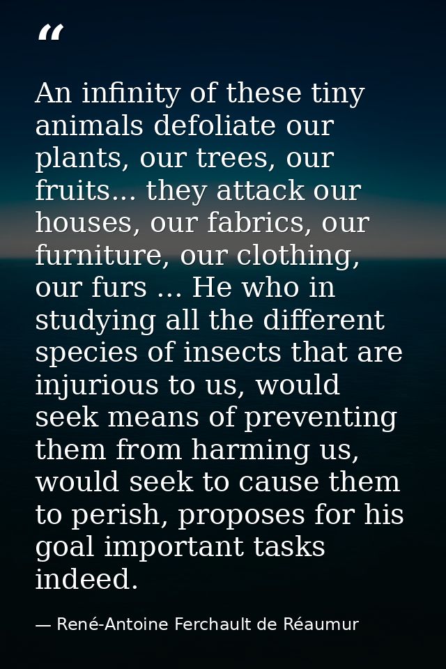 An infinity of these tiny animals defoliate our plants, our trees, our fruits... they attack our houses, our fabrics, ou — René-Antoine Ferchault de Réaumur