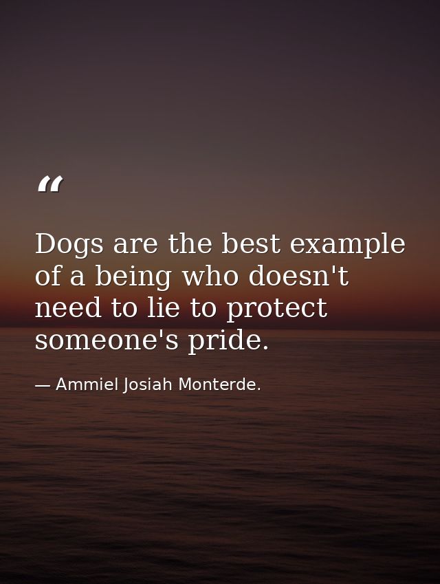 Dogs are the best example of a being who doesn't need to lie to protect someone's pride. — Ammiel Josiah Monterde.