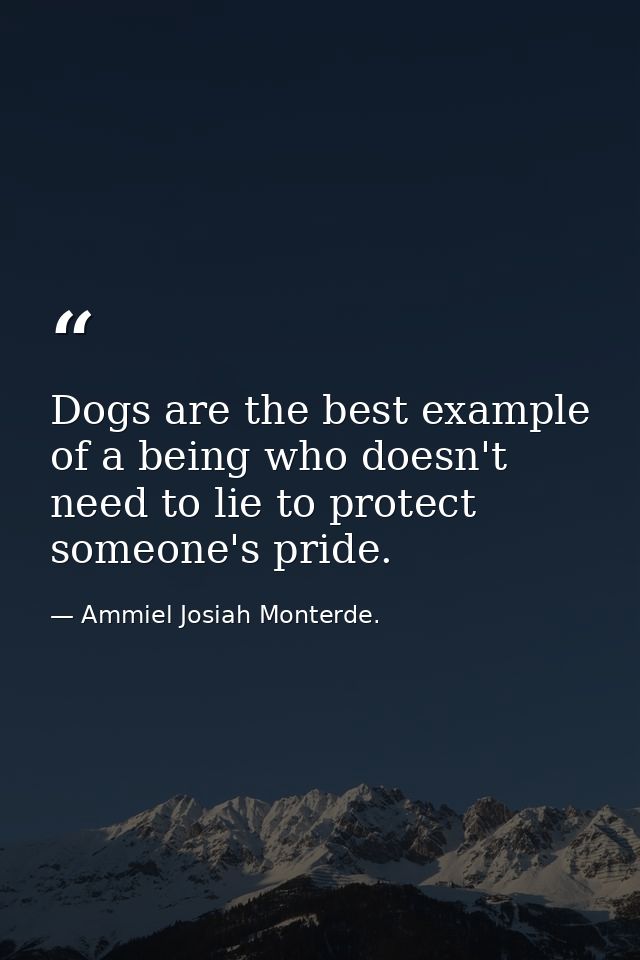 Dogs are the best example of a being who doesn't need to lie to protect someone's pride. — Ammiel Josiah Monterde.
