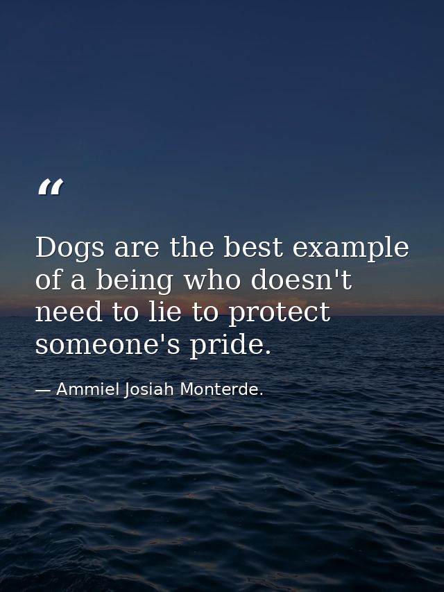 Dogs are the best example of a being who doesn't need to lie to protect someone's pride. — Ammiel Josiah Monterde.
