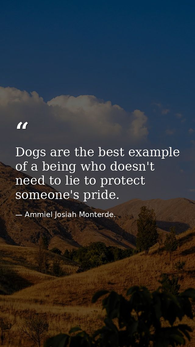 Dogs are the best example of a being who doesn't need to lie to protect someone's pride. — Ammiel Josiah Monterde.