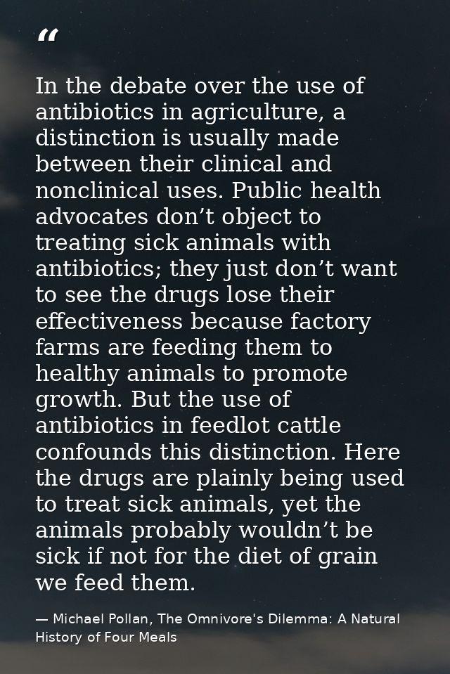 In the debate over the use of antibiotics in agriculture, a distinction is usually made between their clinical and noncl — Michael Pollan, The Omnivore's Dilemma: A Natural History of Four Meals