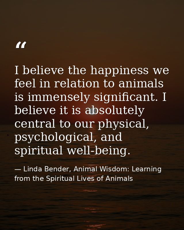 I believe the happiness we feel in relation to animals is immensely significant. I believe it is absolutely central to o — Linda Bender, Animal Wisdom: Learning from the Spiritual Lives of Animals