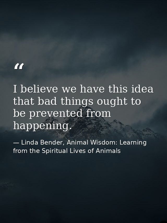 I believe we have this idea that bad things ought to be prevented from happening. — Linda Bender, Animal Wisdom: Learning from the Spiritual Lives of Animals