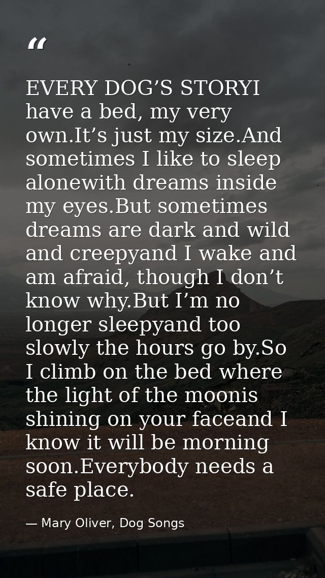EVERY DOG’S STORYI have a bed, my very own.It’s just my size.And sometimes I like to sleep alonewith dreams inside my ey — Mary Oliver, Dog Songs