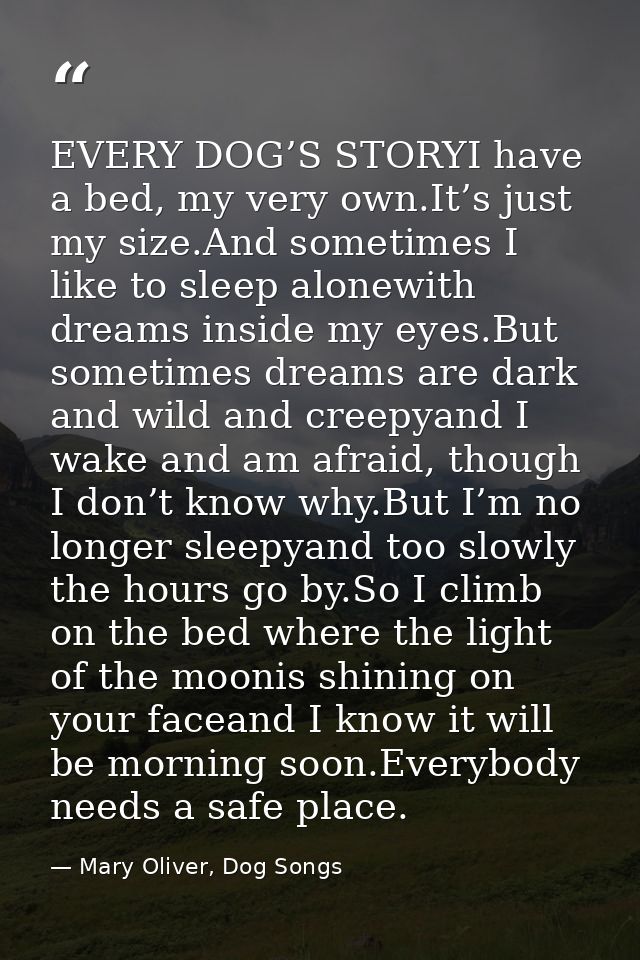 EVERY DOG’S STORYI have a bed, my very own.It’s just my size.And sometimes I like to sleep alonewith dreams inside my ey — Mary Oliver, Dog Songs