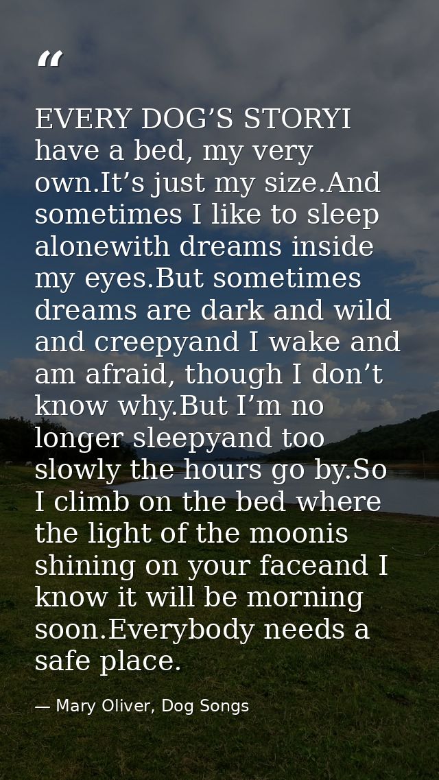 EVERY DOG’S STORYI have a bed, my very own.It’s just my size.And sometimes I like to sleep alonewith dreams inside my ey — Mary Oliver, Dog Songs