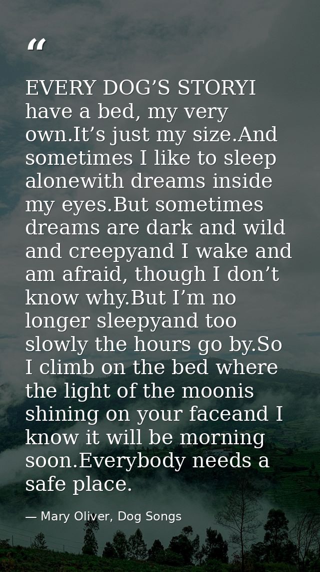 EVERY DOG’S STORYI have a bed, my very own.It’s just my size.And sometimes I like to sleep alonewith dreams inside my ey — Mary Oliver, Dog Songs
