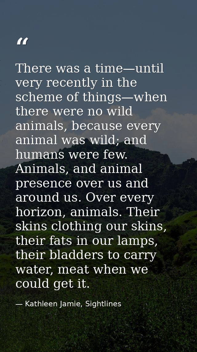 There was a time—until very recently in the scheme of things—when there were no wild animals, because every animal was w — Kathleen Jamie, Sightlines