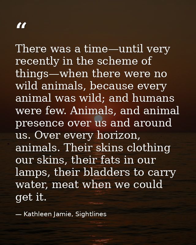 There was a time—until very recently in the scheme of things—when there were no wild animals, because every animal was w — Kathleen Jamie, Sightlines