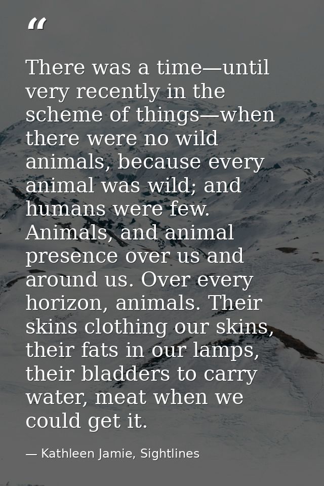 There was a time—until very recently in the scheme of things—when there were no wild animals, because every animal was w — Kathleen Jamie, Sightlines