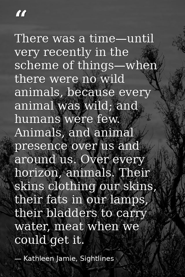 There was a time—until very recently in the scheme of things—when there were no wild animals, because every animal was w — Kathleen Jamie, Sightlines