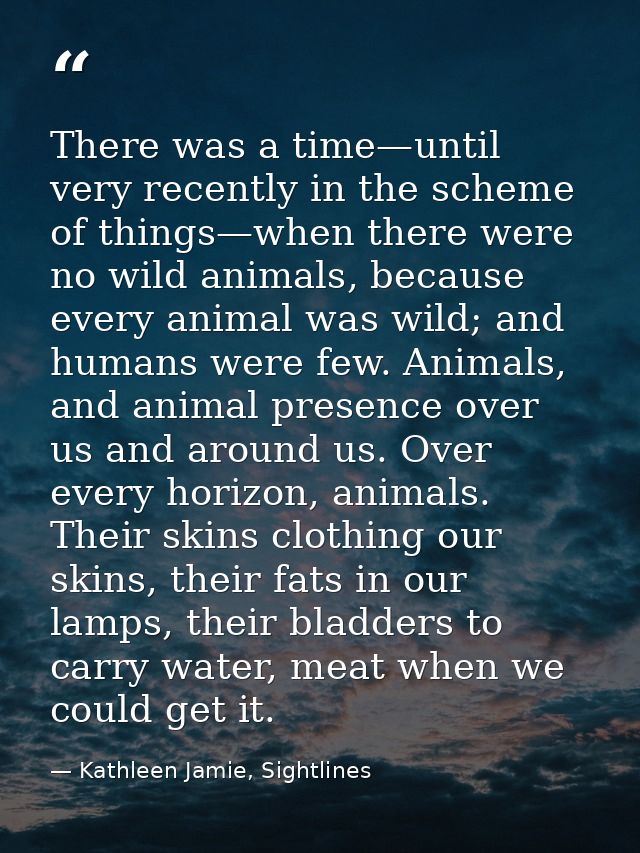 There was a time—until very recently in the scheme of things—when there were no wild animals, because every animal was w — Kathleen Jamie, Sightlines