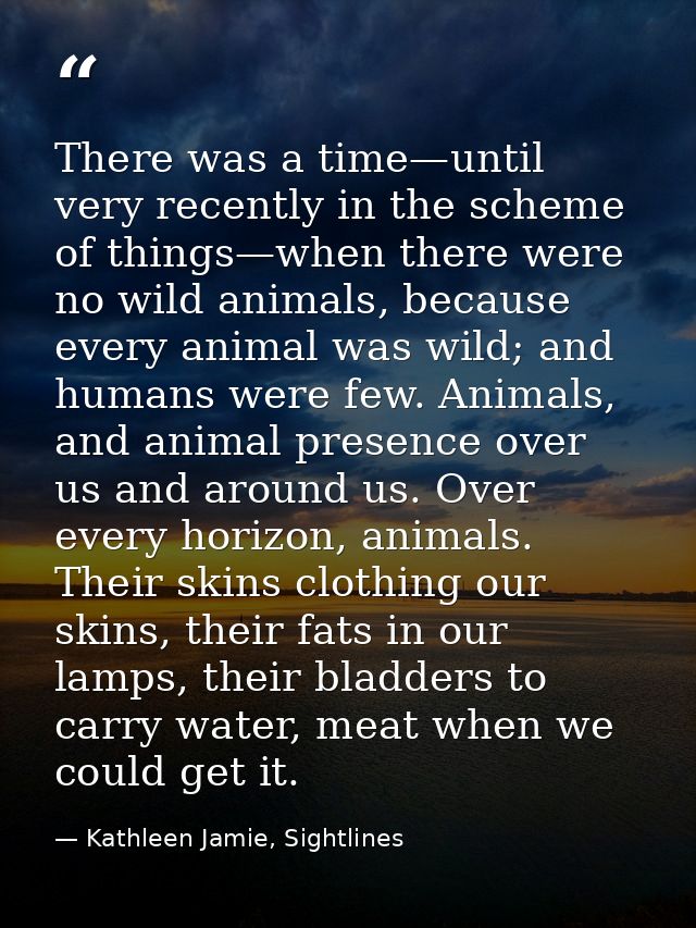 There was a time—until very recently in the scheme of things—when there were no wild animals, because every animal was w — Kathleen Jamie, Sightlines
