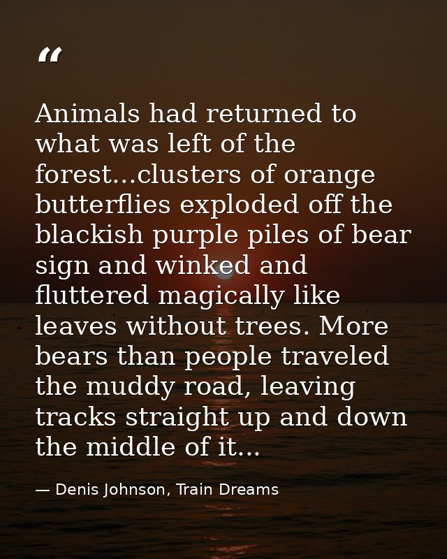 Animals had returned to what was left of the forest...clusters of orange butterflies exploded off the blackish purple pi — Denis Johnson, Train Dreams