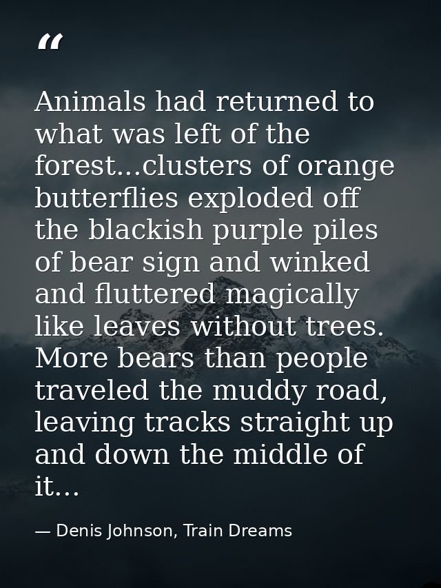Animals had returned to what was left of the forest...clusters of orange butterflies exploded off the blackish purple pi — Denis Johnson, Train Dreams