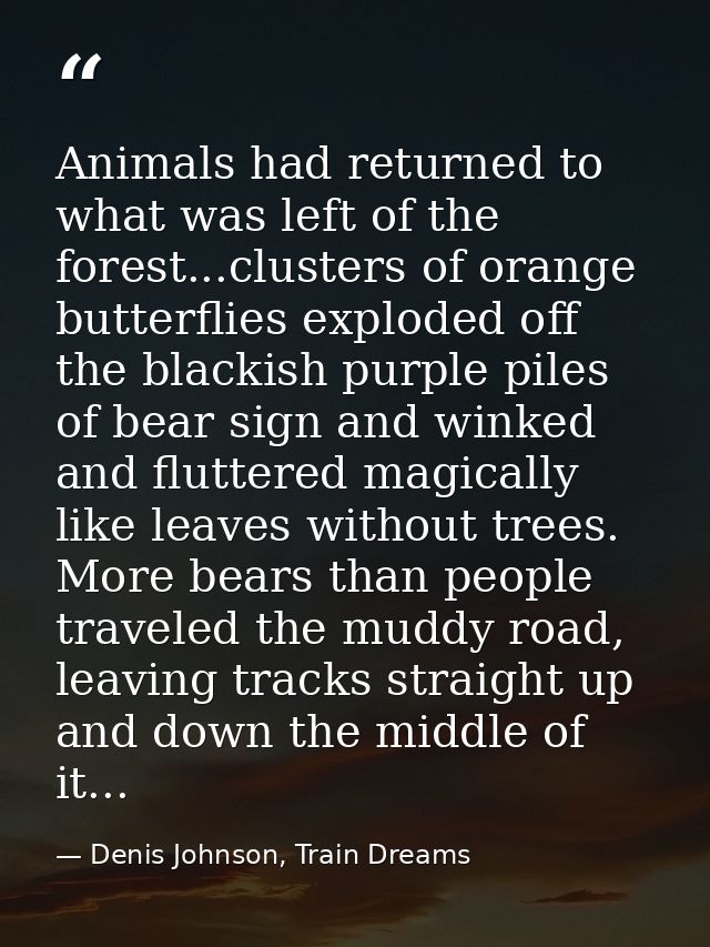 Animals had returned to what was left of the forest...clusters of orange butterflies exploded off the blackish purple pi — Denis Johnson, Train Dreams