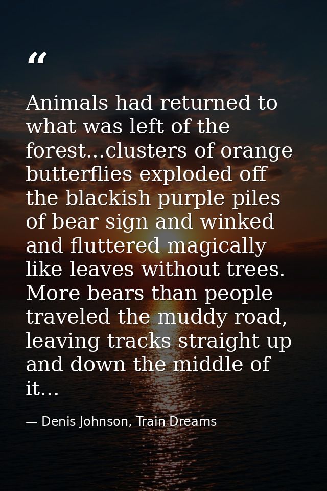 Animals had returned to what was left of the forest...clusters of orange butterflies exploded off the blackish purple pi — Denis Johnson, Train Dreams
