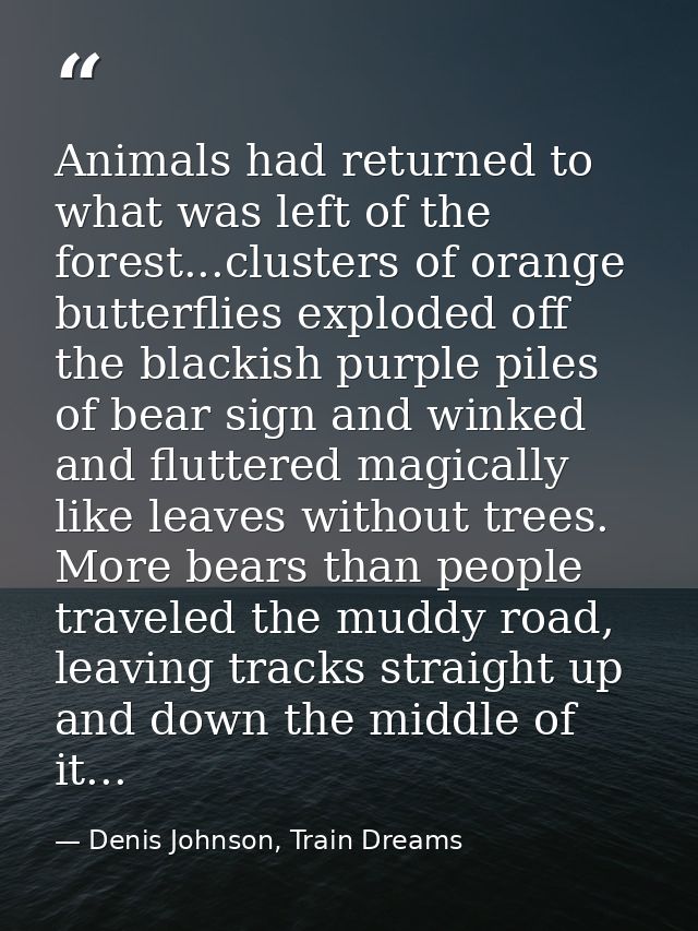 Animals had returned to what was left of the forest...clusters of orange butterflies exploded off the blackish purple pi — Denis Johnson, Train Dreams