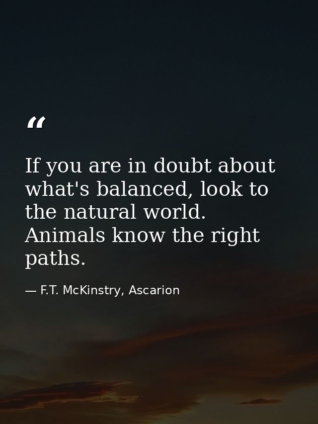 If you are in doubt about what's balanced, look to the natural world. Animals know the right paths. — F.T. McKinstry, Ascarion