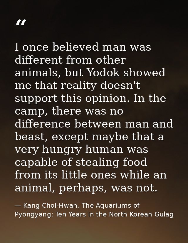 I once believed man was different from other animals, but Yodok showed me that reality doesn't support this opinion. In  — Kang Chol-Hwan, The Aquariums of Pyongyang: Ten Years in the North Korean Gulag