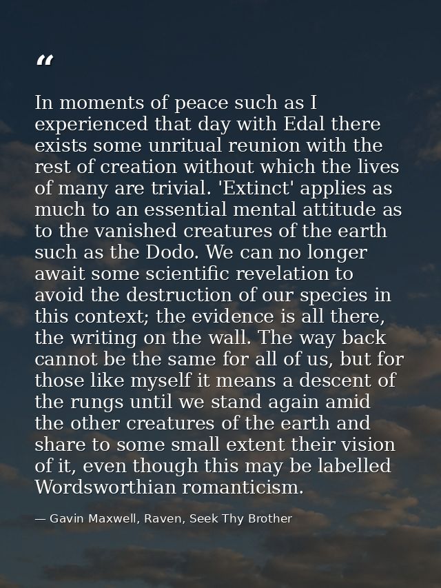 In moments of peace such as I experienced that day with Edal there exists some unritual reunion with the rest of creatio — Gavin Maxwell, Raven, Seek Thy Brother