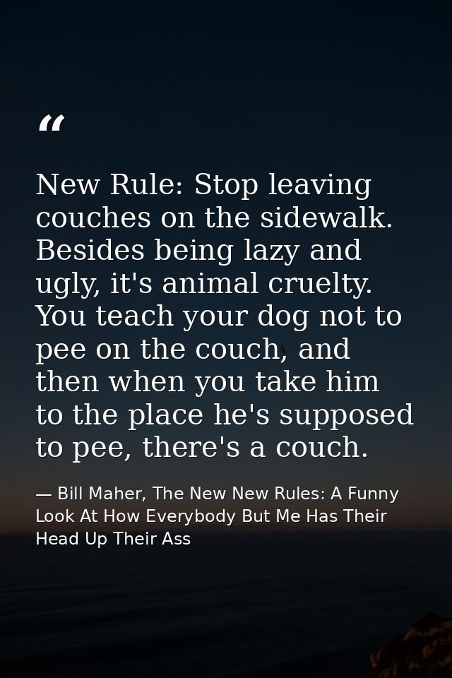 New Rule: Stop leaving couches on the sidewalk. Besides being lazy and ugly, it's animal cruelty. You teach your dog not — Bill Maher, The New New Rules: A Funny Look At How Everybody But Me Has Their Head Up Their Ass