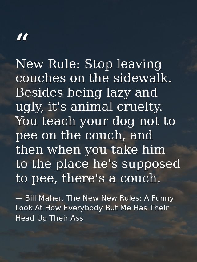 New Rule: Stop leaving couches on the sidewalk. Besides being lazy and ugly, it's animal cruelty. You teach your dog not — Bill Maher, The New New Rules: A Funny Look At How Everybody But Me Has Their Head Up Their Ass