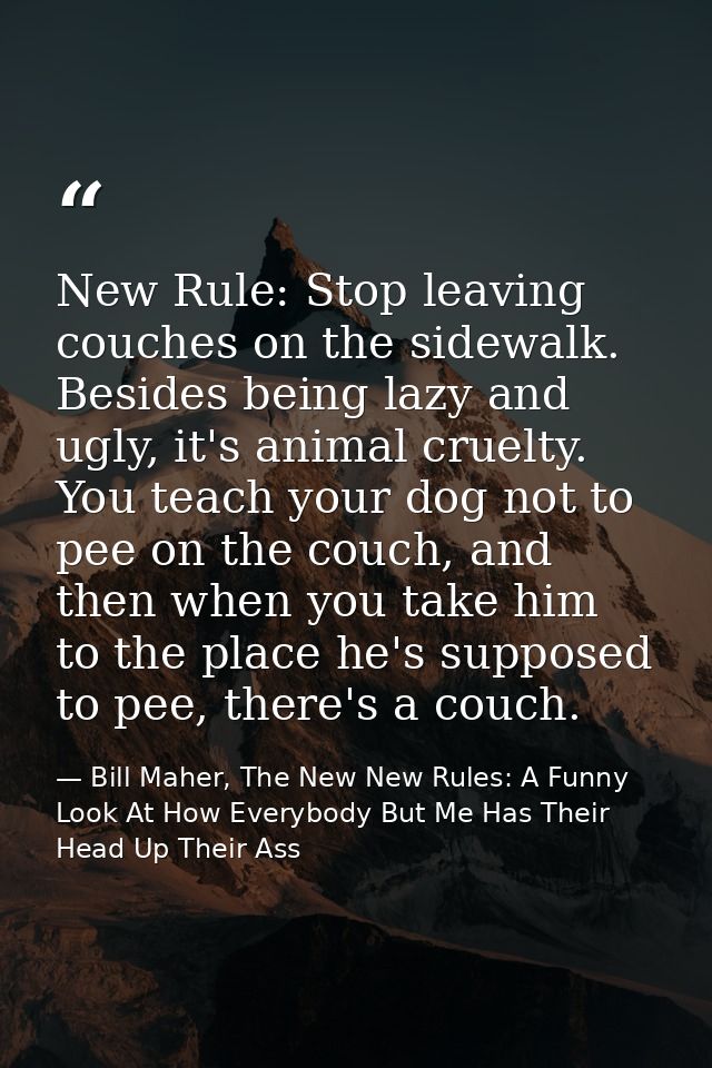 New Rule: Stop leaving couches on the sidewalk. Besides being lazy and ugly, it's animal cruelty. You teach your dog not — Bill Maher, The New New Rules: A Funny Look At How Everybody But Me Has Their Head Up Their Ass