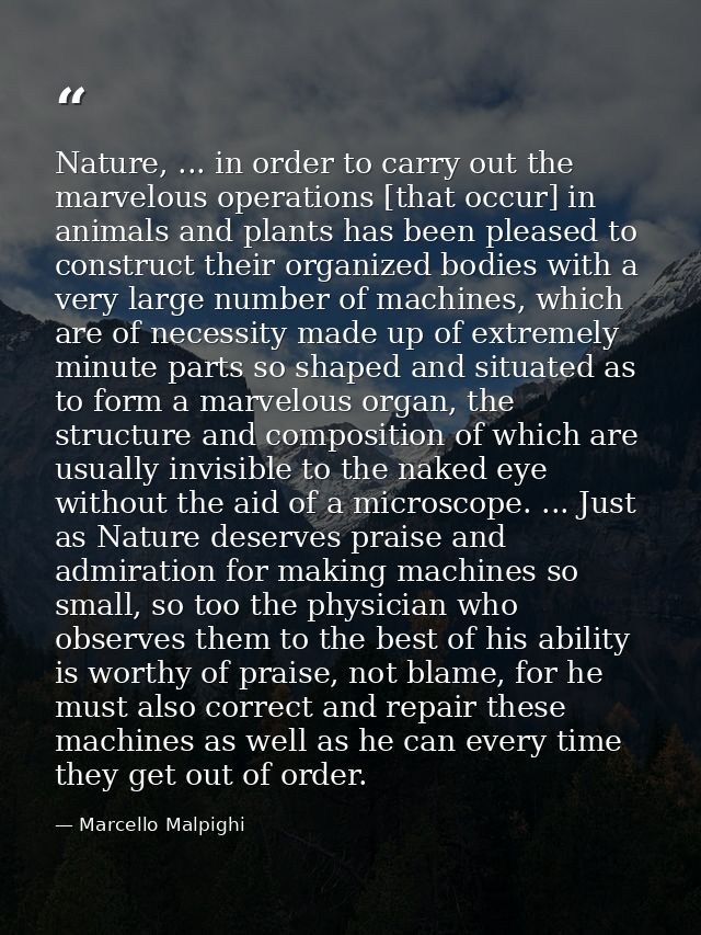 Nature, ... in order to carry out the marvelous operations [that occur] in animals and plants has been pleased to constr — Marcello Malpighi