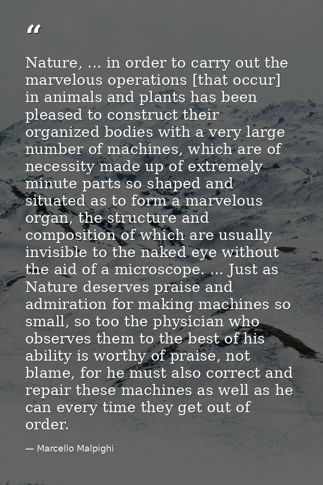 Nature, ... in order to carry out the marvelous operations [that occur] in animals and plants has been pleased to constr — Marcello Malpighi