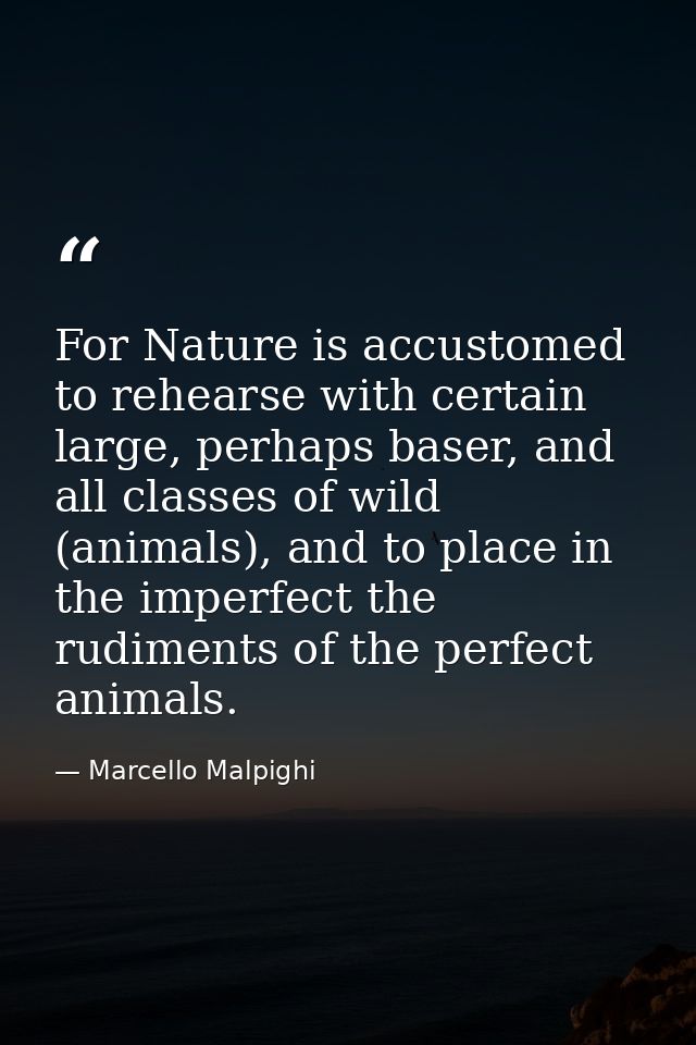 For Nature is accustomed to rehearse with certain large, perhaps baser, and all classes of wild (animals), and to place  — Marcello Malpighi
