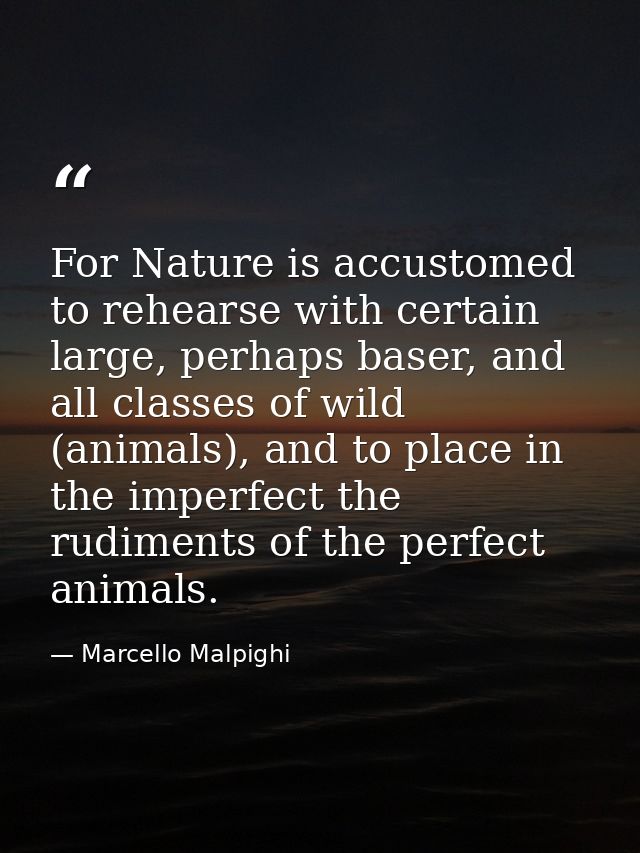 For Nature is accustomed to rehearse with certain large, perhaps baser, and all classes of wild (animals), and to place  — Marcello Malpighi