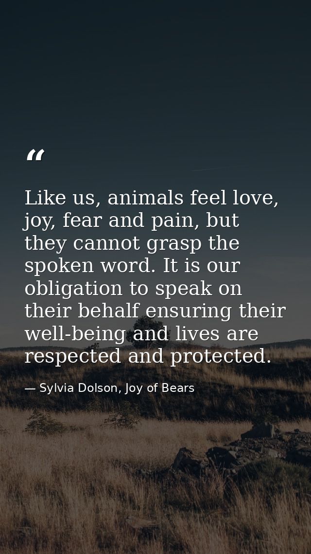 Like us, animals feel love, joy, fear and pain, but they cannot grasp the spoken word. It is our obligation to speak on  — Sylvia Dolson, Joy of Bears