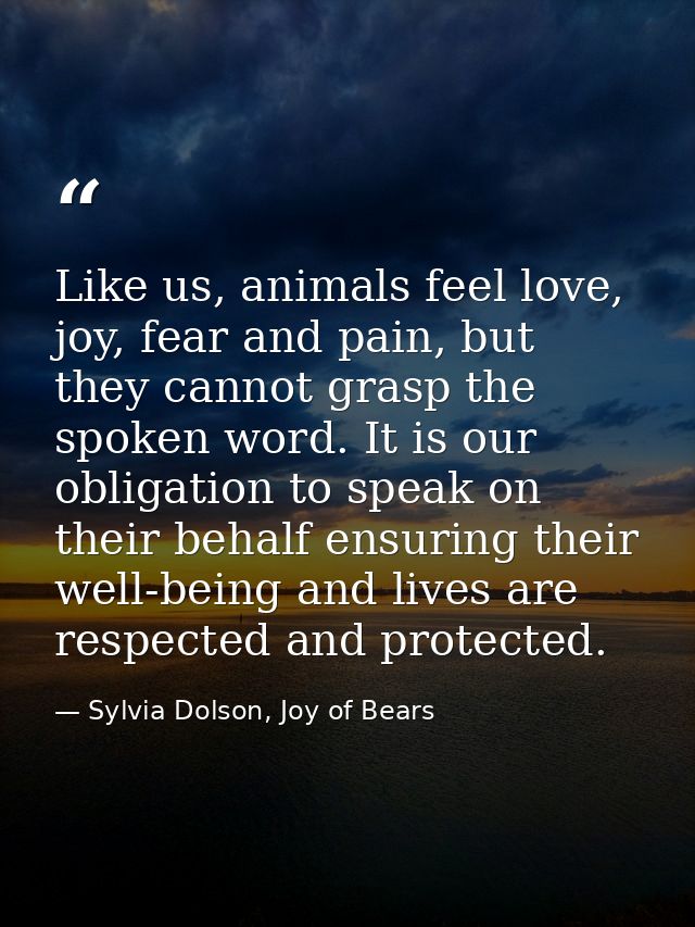 Like us, animals feel love, joy, fear and pain, but they cannot grasp the spoken word. It is our obligation to speak on  — Sylvia Dolson, Joy of Bears