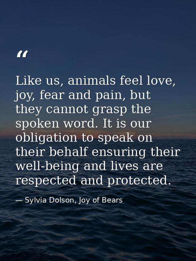 Like us, animals feel love, joy, fear and pain, but they cannot grasp the spoken word. It is our obligation to speak on  — Sylvia Dolson, Joy of Bears