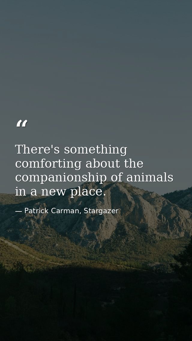 There's something comforting about the companionship of animals in a new place. — Patrick Carman, Stargazer