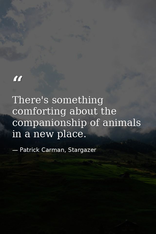 There's something comforting about the companionship of animals in a new place. — Patrick Carman, Stargazer