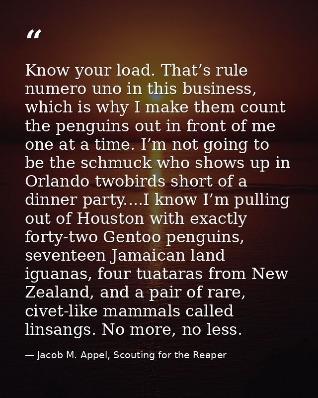 Know your load. That’s rule numero uno in this business, which is why I make them count the penguins out in front of me  — Jacob M. Appel, Scouting for the Reaper