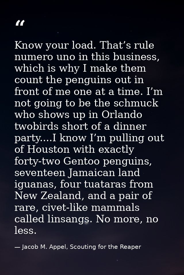 Know your load. That’s rule numero uno in this business, which is why I make them count the penguins out in front of me  — Jacob M. Appel, Scouting for the Reaper