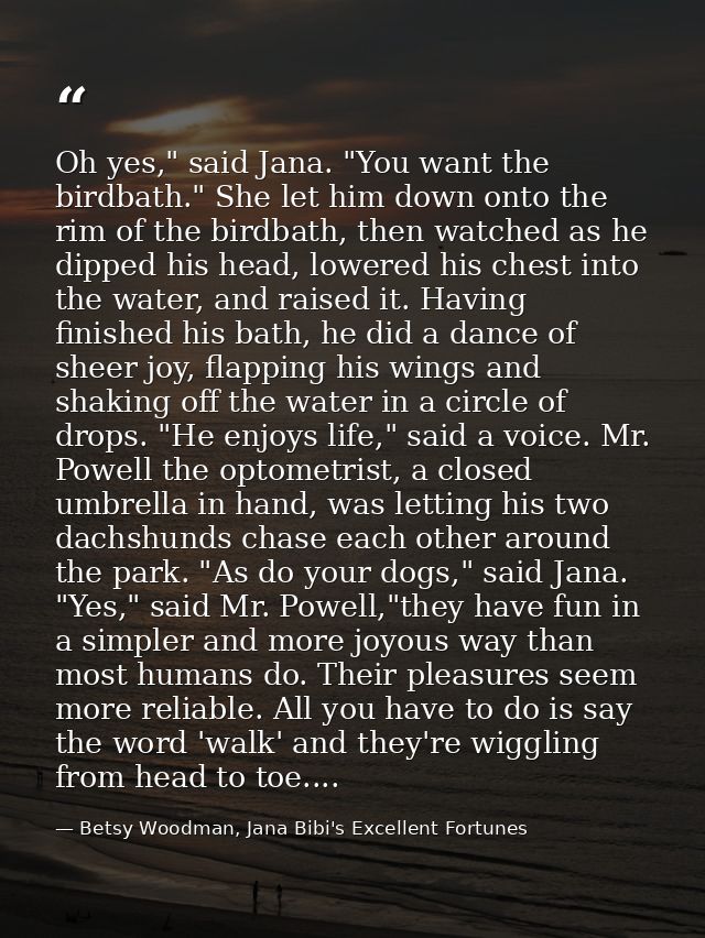 Oh yes," said Jana. "You want the birdbath." She let him down onto the rim of the birdbath, then watched as he dipped hi — Betsy Woodman, Jana Bibi's Excellent Fortunes